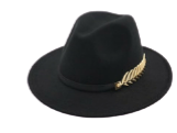 Classy Feather Belt Fedora Hats